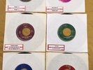 Jon Spencer Blues Explosion jbsx 7