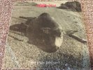 Pearl Jam 1992 Christmas Single 45 Who Killed Rudolph Sonic Reducer / Ramblings