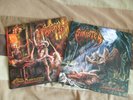 Sinister LP`s 1x Legacy Of Ashes  / 1x The Post Apocalyptic Servant