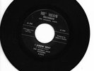 Doo Wop R&B Rock & Roll 45 BEVERLY HILLS PAINTERS I Know Why/Five Foot Three