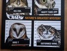 The Four Owls - Nature's Greatest Mystery 2 x Vinyl LP Limited Edition