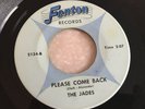 Ultra rare psychedelic 45 rpm record The JADES Fenton 2134 66' Please Come Back