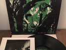BUFFALO TOM birdbrain LP 1990 PROMO PRESS KIT & PHOTO RARE ALT INDIE dinosaur jr
