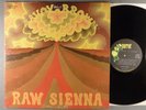 Savoy Brown  Raw Sienna    Blues Rock