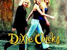 Dixie Chicks Wide Open Spaces 150gm vinyl LP + download NEW/SEALED