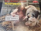 Beastiality  the Handsome Beast 1981 LP Vinyl Schallplatte