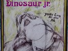 Dinosaur Jr., You're Living All Over Me, J Mascis, SST 130, , NM, Rare