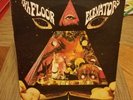 13th Floor Elevators - Live 1966 (LP) rare issue, France, NM