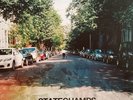 STATE CHAMPS FINER THINGS LP VINYL NEW 2015 COLOUR VINYL 33RPM