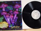 Chug - Sassafras LP Flying Nun Records ?FN 300 with insert