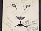White Lion  Rare Hand Signed Pride Vinyl LP Record  Pop Hard Rock