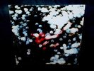 PINK FLOYD - Obscured By Clouds - 1972 LP