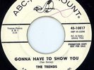 NORTHERN SOUL - TRENDS - GONNA HAVE TO SHOW YOU - ABC PARAMOUNT - DEMO  