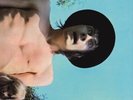 LP-FLEETWOOD MAC-MR.WONDERFUL NEW VINYL RECORD