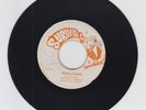SURVIVAL/ MAKE A TURN  -  BLUE FLAME   (REGGAE ROOTS 7