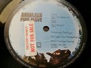 PINK FLOYD uk 1st ANIMALS RARE SAMPLE COPY  ( SHVL 815) 2U/2U VG/VG