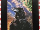 THE STRANGLERS - RAVEN VINYL RECORD LP WITH 3D LENTICULAR SLEEVE PUNK NEW WAVE