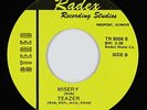 Power Pop/Psych Folk 45 - Teazer - Misery - Radex - VG+ mp3 - obscure