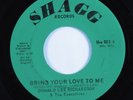Deep Soul 45 DONALD LEE RICHARDSON Bring Your Love To Me SHAGG VG++ HEAR