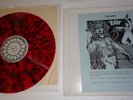 The Who - RAW - LP - Toronto MLG - Dec 11 1975 - RED SPLATTER VINYL - K & S 004