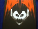 Third Man Vault #23 The White Stripes Under Amazonian Lights box set Jack White
