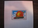 The Allman Brothers band 