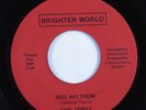 Crossover Soul Funk 45 CARL TEMPLE Soul Day Theme BRIGHTER WORLD VG+ HEAR