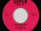 Doo-Wop 45 - Twilighters - Please Come Home - Super - mp3