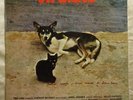 ANTONIO ADOLFO Viralata BRAZIL JAZZ FUNK GROOVE BREAKS ORIG LP VG++ HEAR