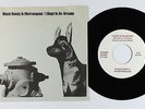 Punk 45 - Black Randy & Metrosquad - I Slept In An Arcade - Dangerhouse VG+ mp3