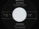 Rock & Roll Inst. 45 - Premiers - Shawnee/Orbit Bound - Squire - VG+ mp3 - rare