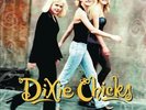 DIXIE CHICKS WIDE OPEN SPACES [LP] NEW VINYL RECORD