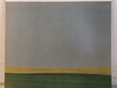 DUSTER STRATOSPHERE UP 050 LP 1998 Contemporary Movement UP Records Valium