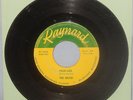 BRYDS 1965 CHICAGO GARAGE PUNK 45 YOUR LIES ORIG. RAYNARD CLEAN PLAY VG NR