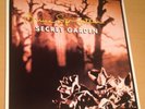 Bruce Springsteen Secret Garden seltene 12
