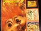 Dinosaur jr Fossils album 12