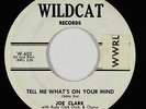 R&B Soul Popcorn 45 - Joe Clark - Tell Me What's On Your Mind - Wildcat - mp3