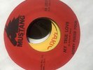 The Bobby Fuller Four- The Magic Touch- Mustang M 3018- VG++ Garage 45