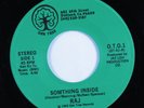 Modern Soul 45 RAJ Something Inside OAK TREE HEAR