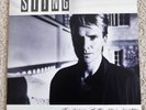 STING THE DREAM OF THE BLUE TURTLES VINYL 1985 UK ALBUM A&M RECORD-DREAM 1