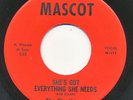 PLAYTHINGS on Mascot —TELL HER— az garage rock 45 | LISTEN