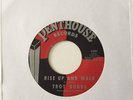 45 northern soul rare troy dodds rise up and walk on penthouse