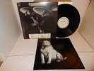 PAVLOV'S DOG At The Sound Of The Bell Bill Bruford Michael Brecker Roxy WLP LP