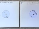 Gojira The Way Of All Flesh - TEST PRESS OOP