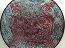 (o) Unleashed - Victory (Picture LP)