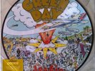 GREEN DAY DOOKIE PICTURE DISC LP SEALED
