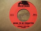 BOBBY FULLER FOUR 