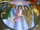 BON JOVI - SLIPPERY WHEN WET LIMITED EDITION PICTURE DISC RECORD VINYL LP 1986