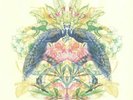 BUG, Steve/LANGENBERG - Paradise Sold - Vinyl (2xLP + MP3 download code)
