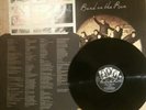 PAUL McCARTNEY & WINGS 